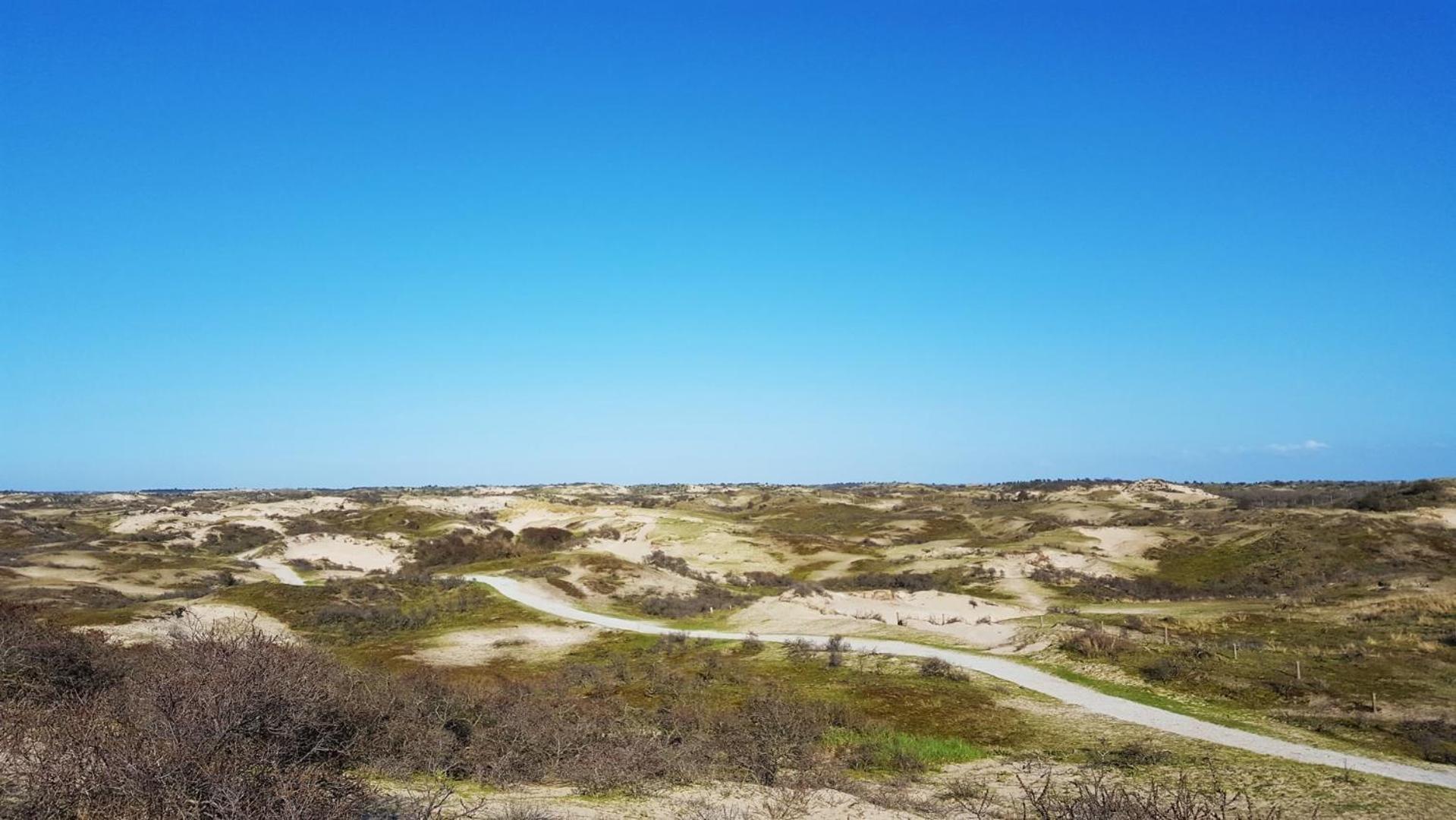 Bamboe Suite Bentveld Met Ligbad En Gratis Parkeren Zewnętrze zdjęcie